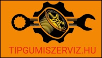Gumiszervíz