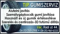 Gumiszervíz